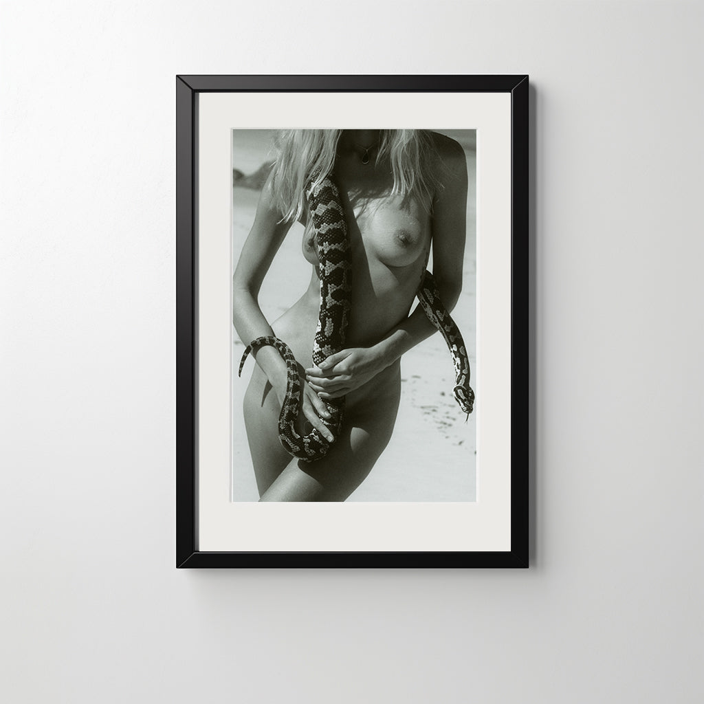 Medusa