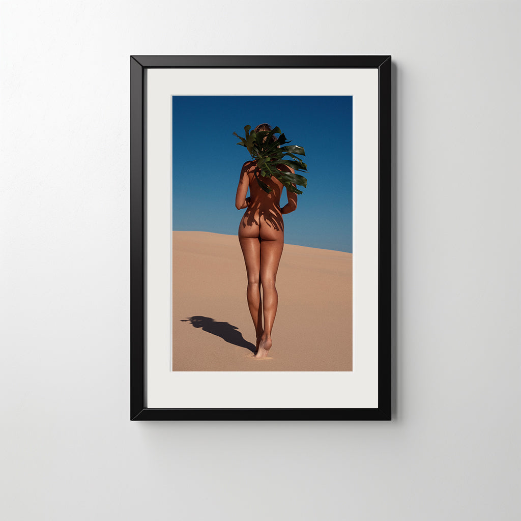 Palm