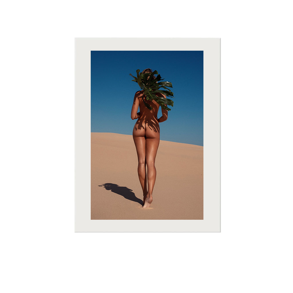 Palm